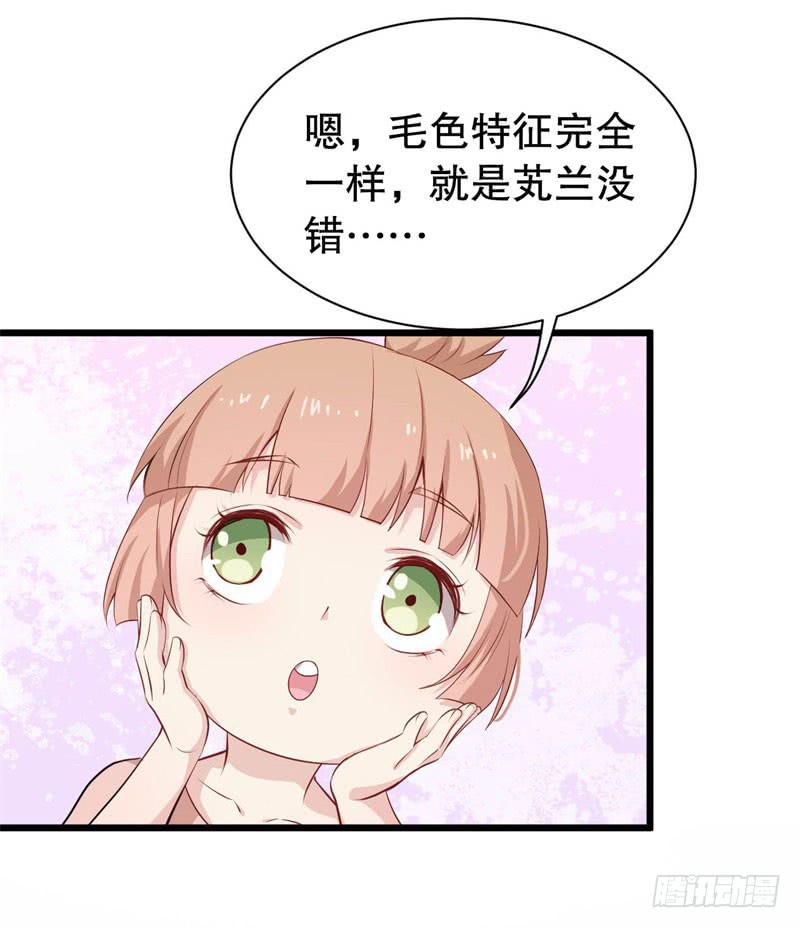 040黑眼圈不是坏妖怪（八）(1/2)-第44话