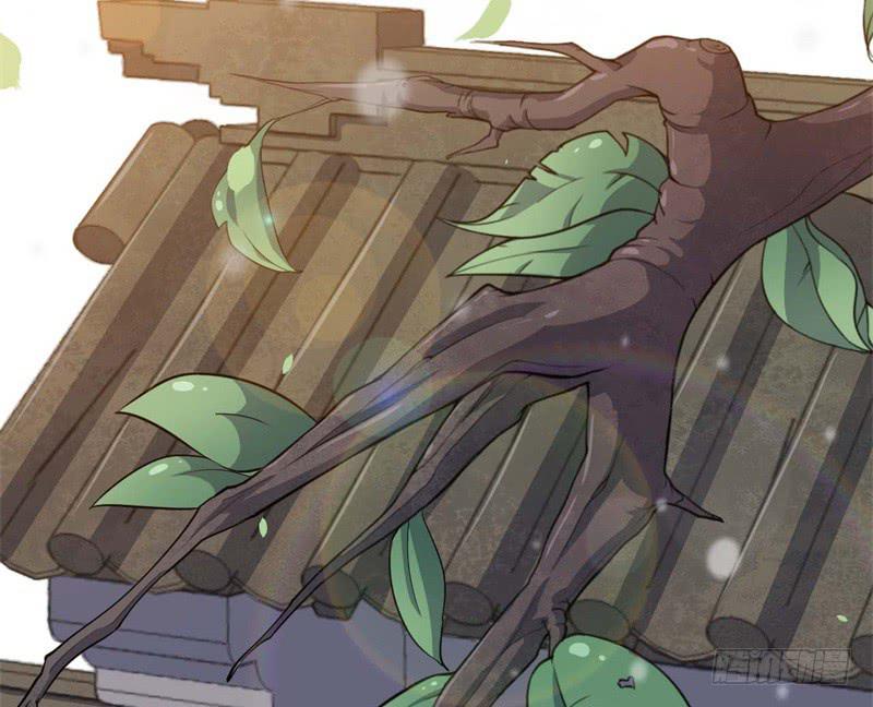 067护短(1/2)-第72话