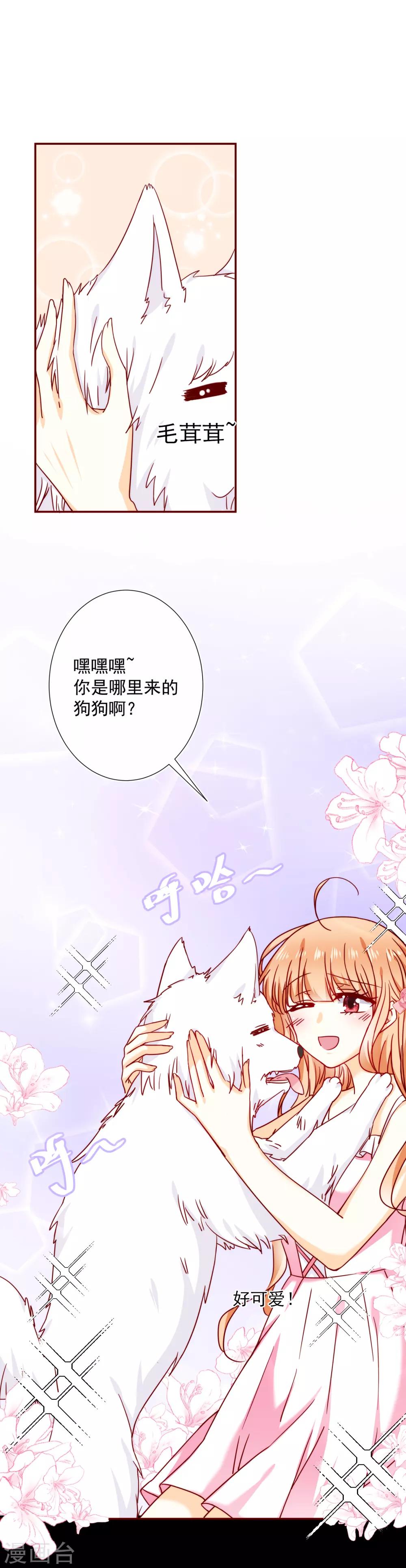 第41话 遵守约定-第46话