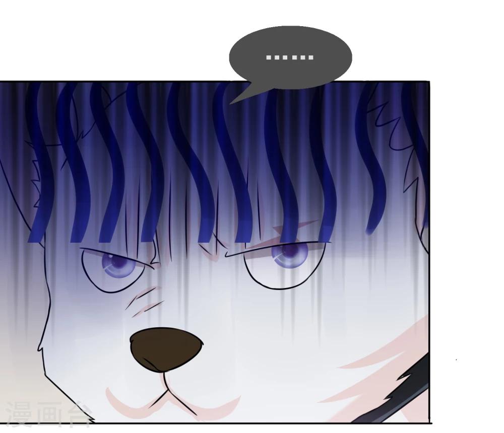 第1话 白天总裁，晚上野狗-第2话