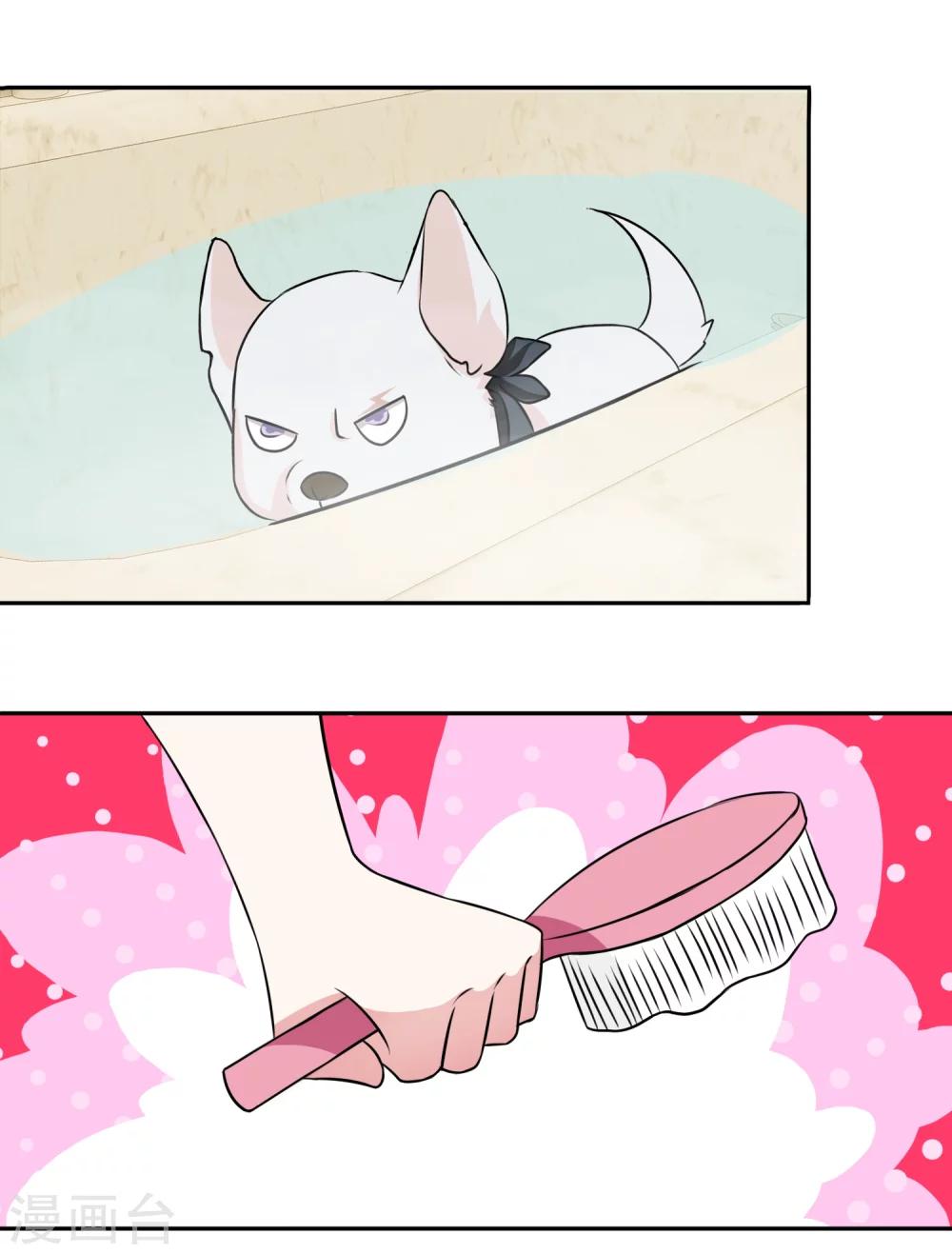 第1话 白天总裁，晚上野狗-第2话