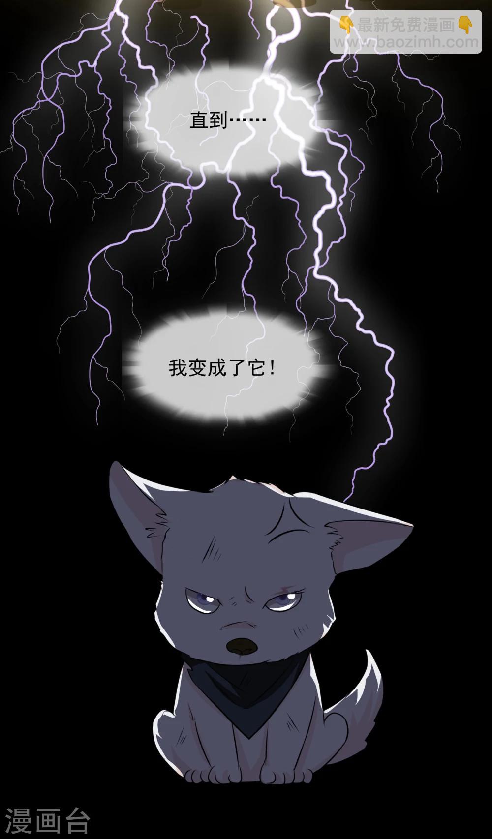 第1话 白天总裁，晚上野狗-第2话