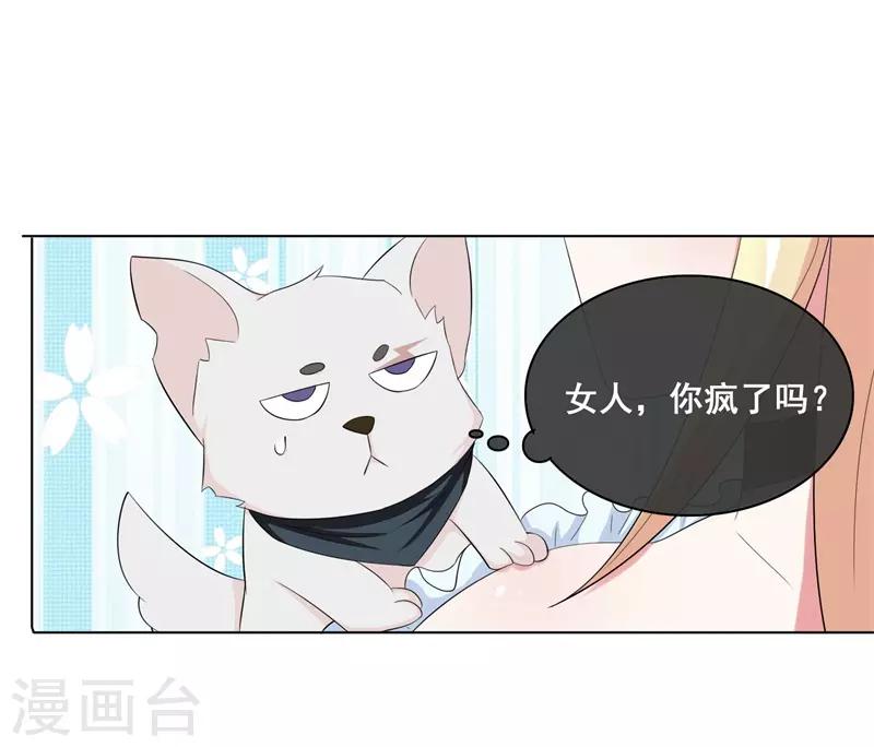 第13话 本少爷也是你想吻就吻的-第14话