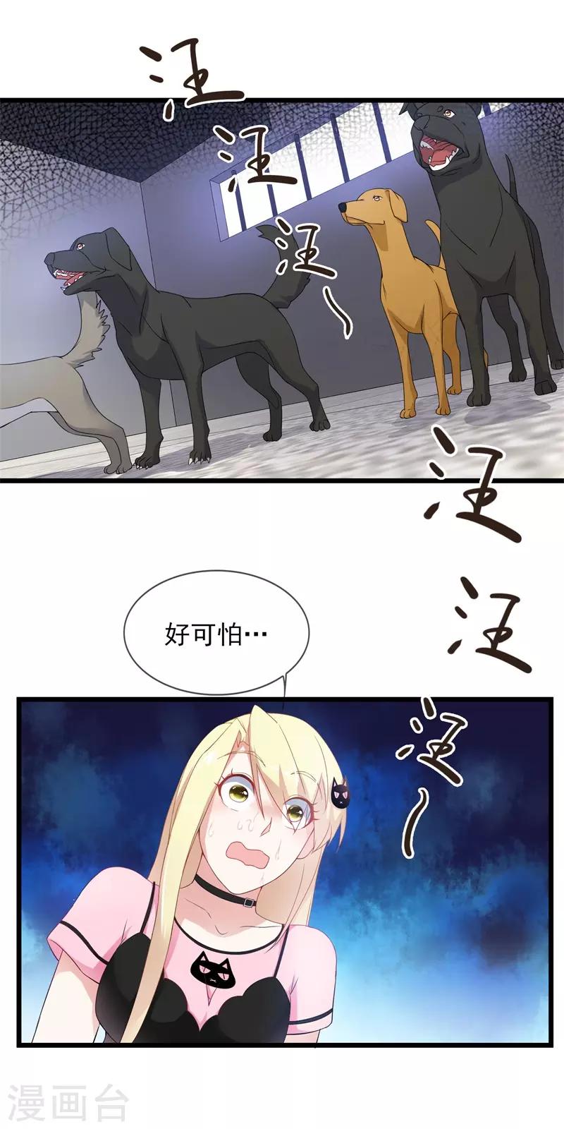 第21话 狗狗要绝育-第22话