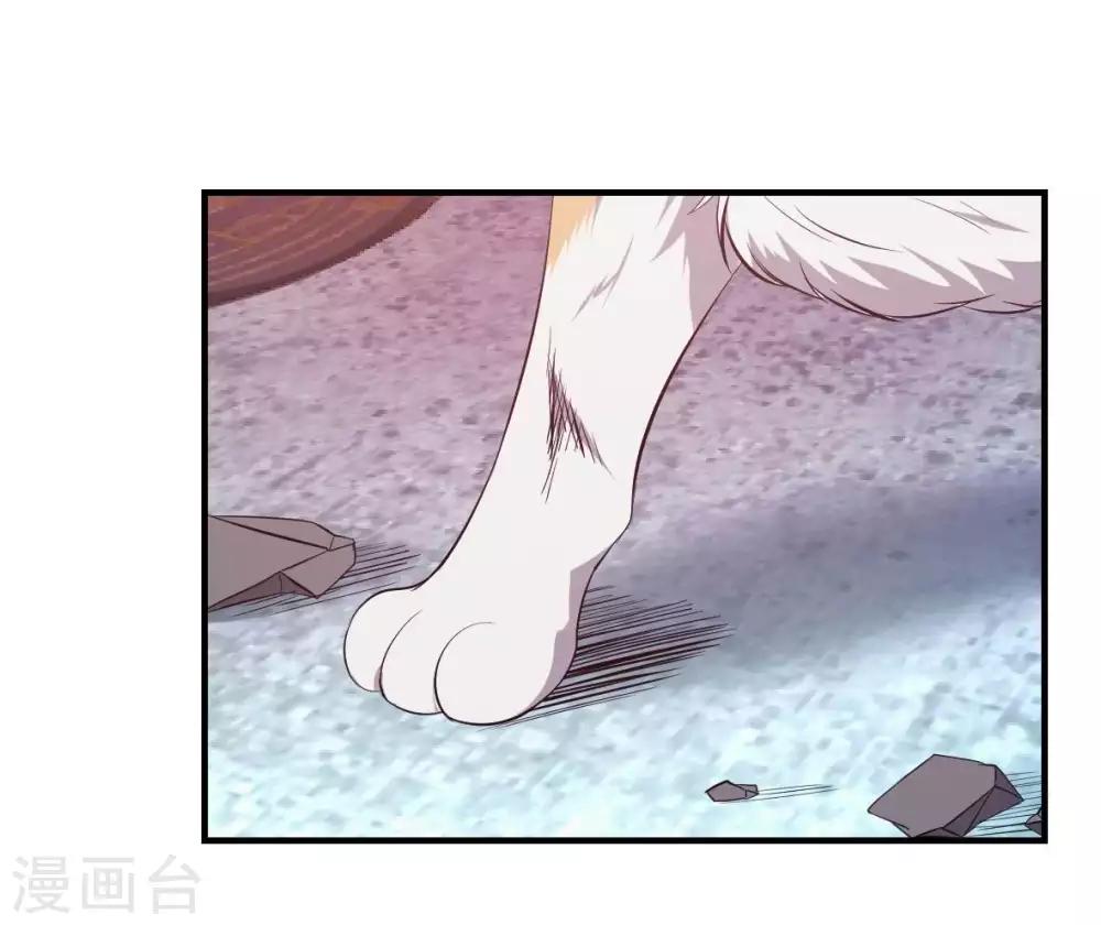 第19话 菜鸡互啄1-第20话