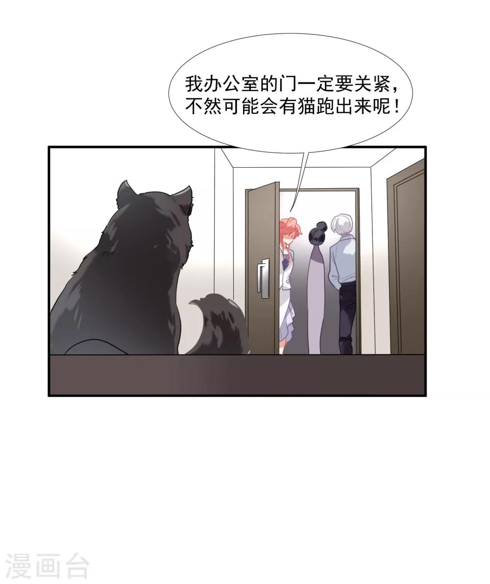 番外篇之夺宝大作战(1/2)-第58话