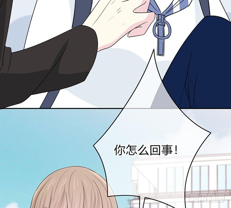 我要低调(1/3)-第12话