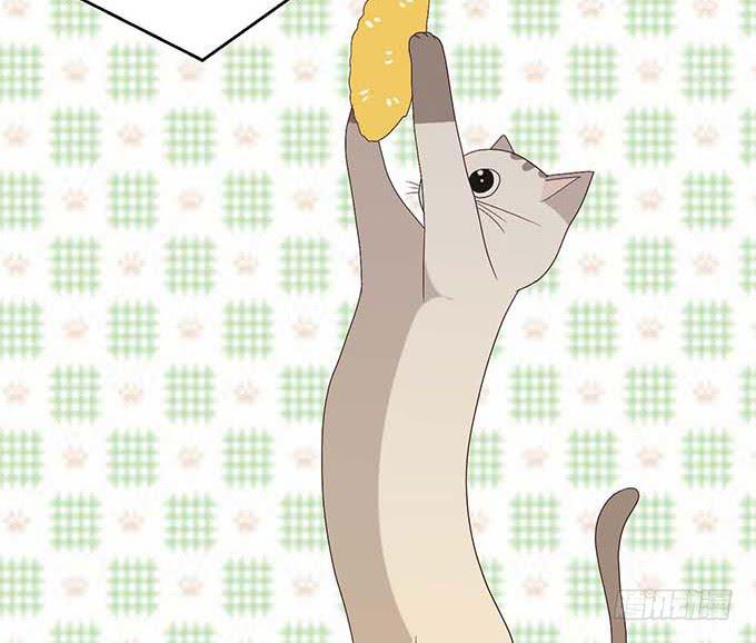 第二十二话(1/3)-第22话