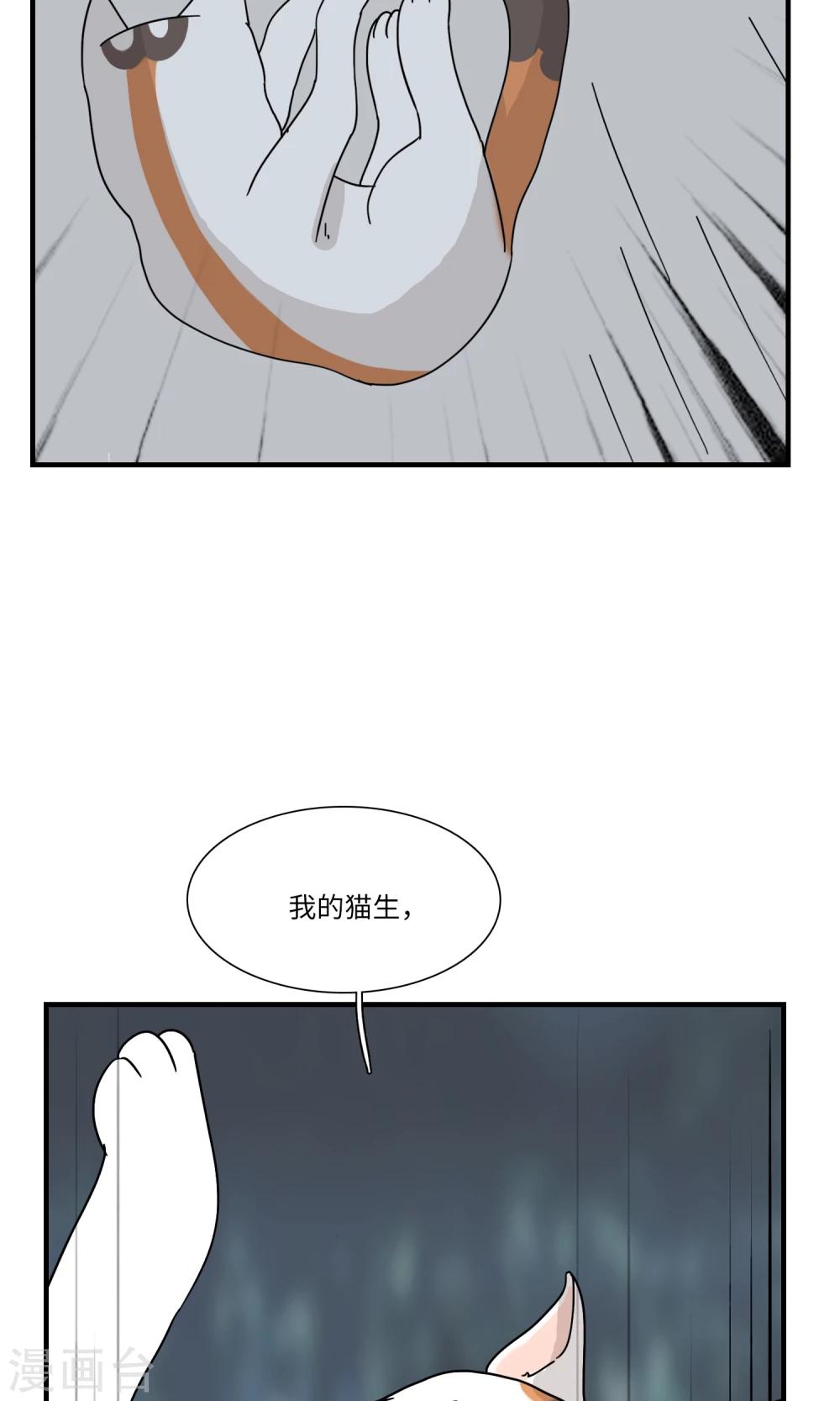 第12话 三花篇(12)-第12话