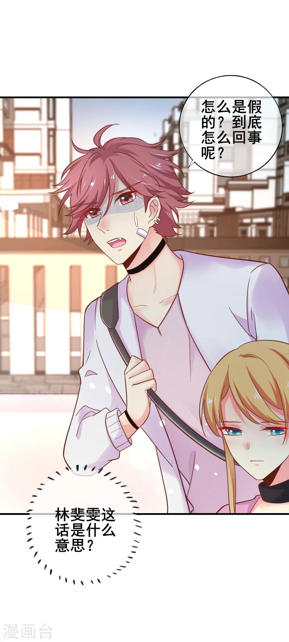 第47话 你还记得那几只猫么？-第52话