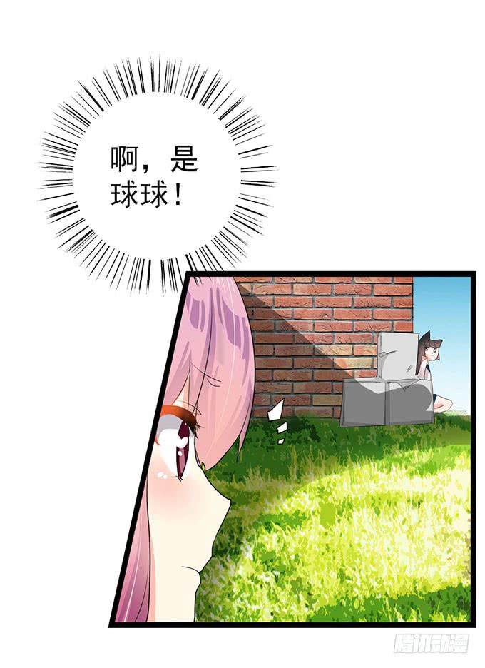 大结局！3集连更！(1/3)-第18话