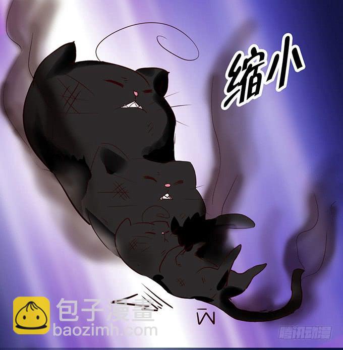 神秘的美少女！(1/2)-第4话