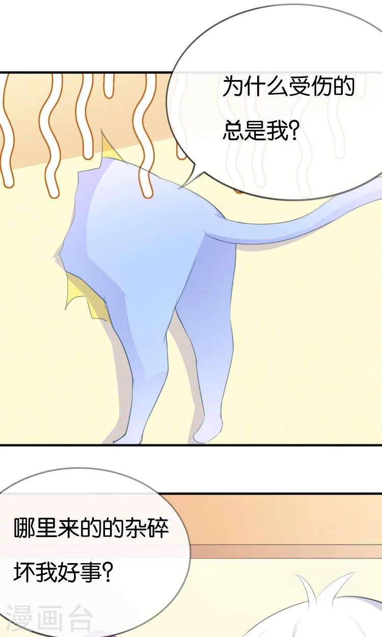 第11话 你们爱我吗？！-第12话