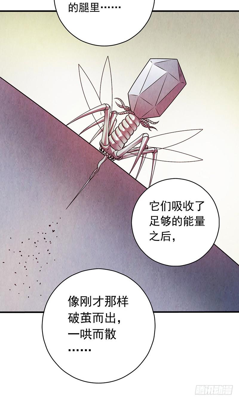 空墟 - 第14回：機器昆蟲 - 2