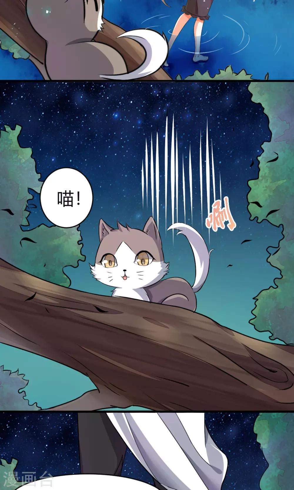第3话 失踪的猫-第4话