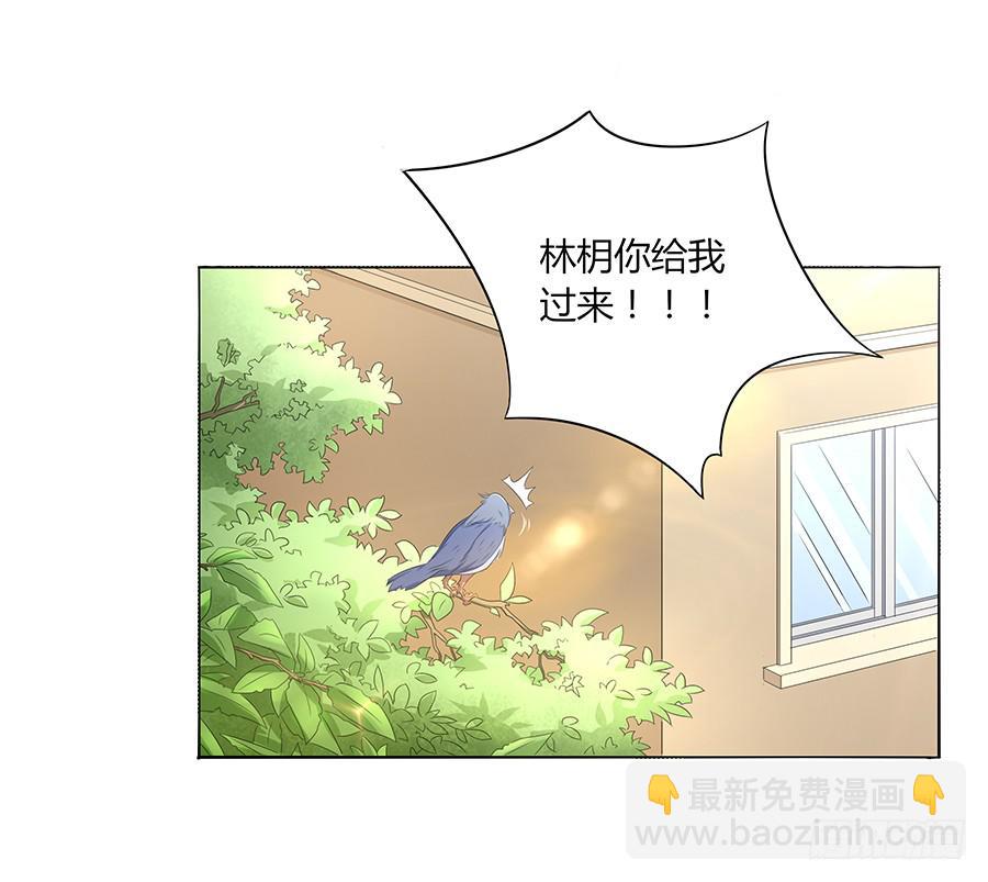 035告白要在酒醒时(1/2)-第40话