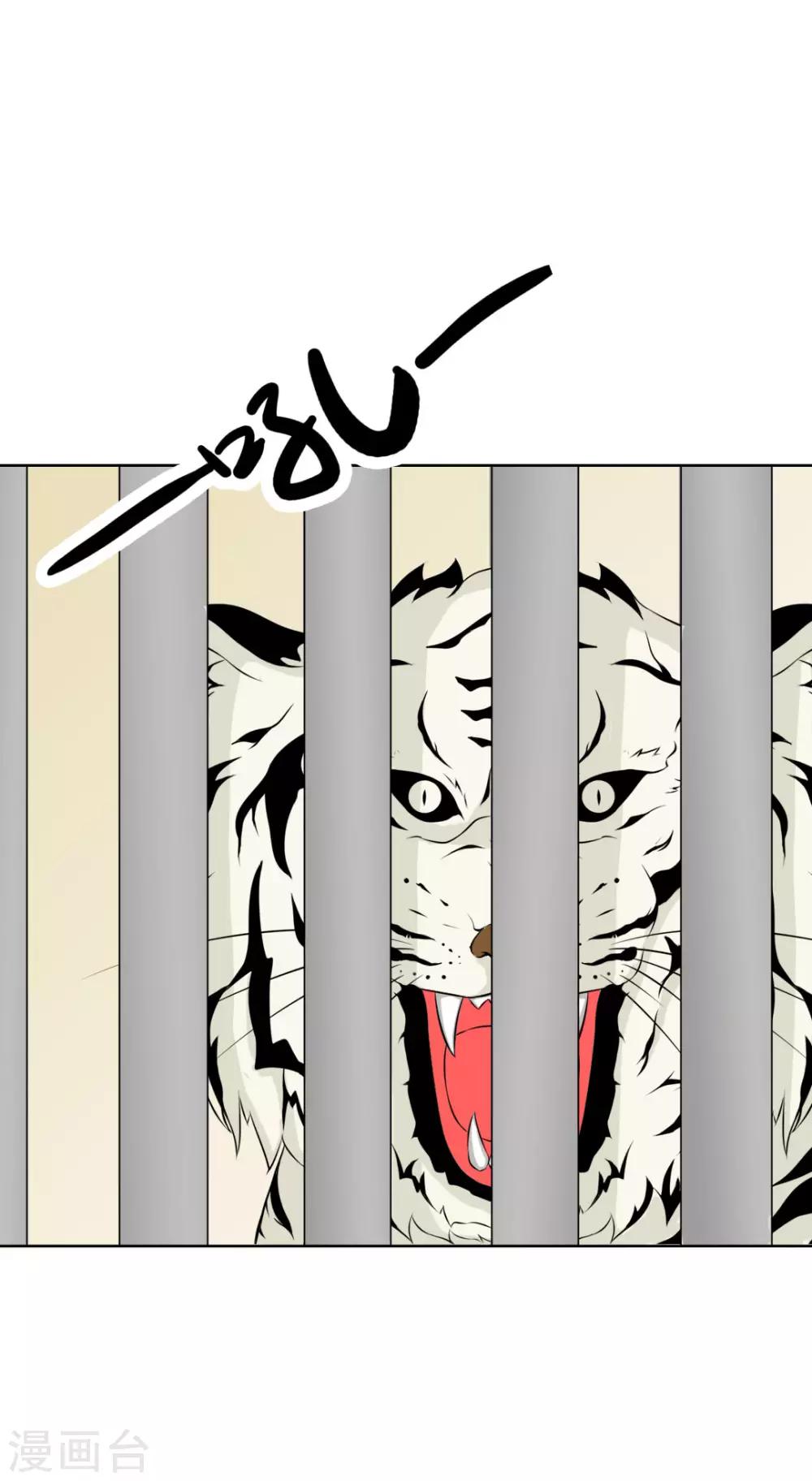 第15话 寿宴惊魂-第16话