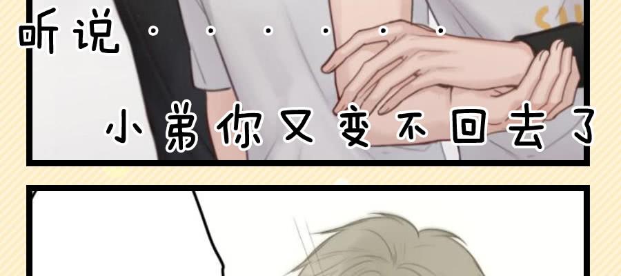 给粉丝们做爱心月饼(1/2)-第10话