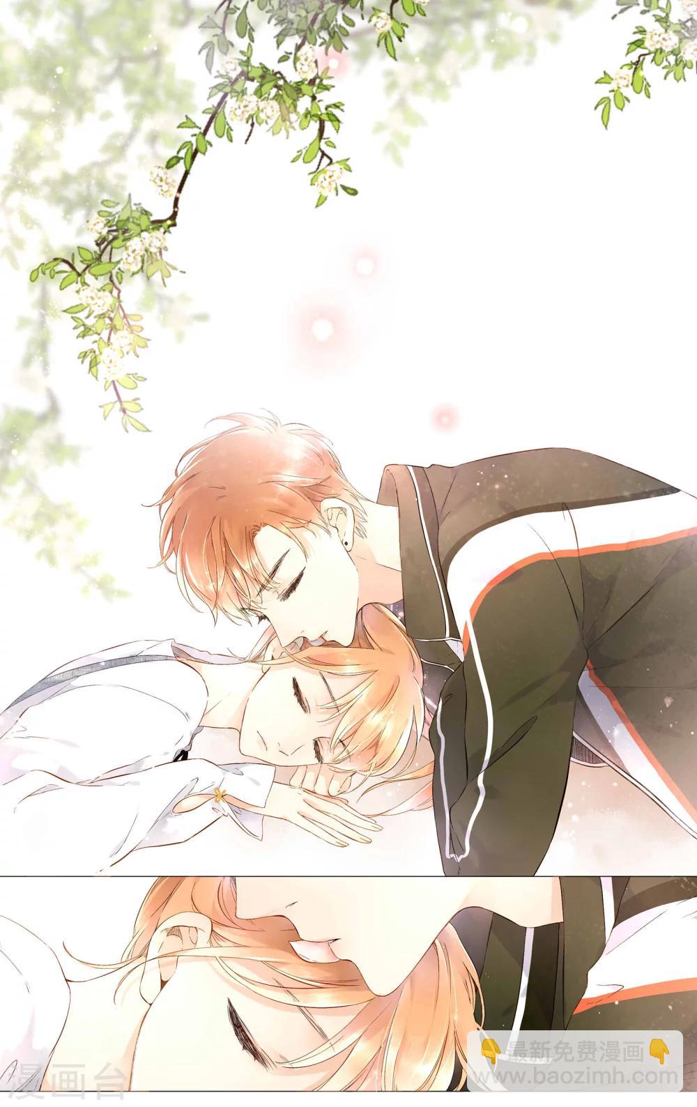 第42话 花与吻(下)-第42话