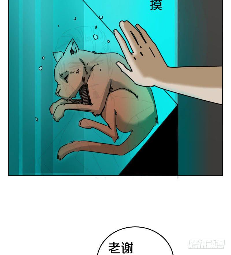 神秘的门-第34话