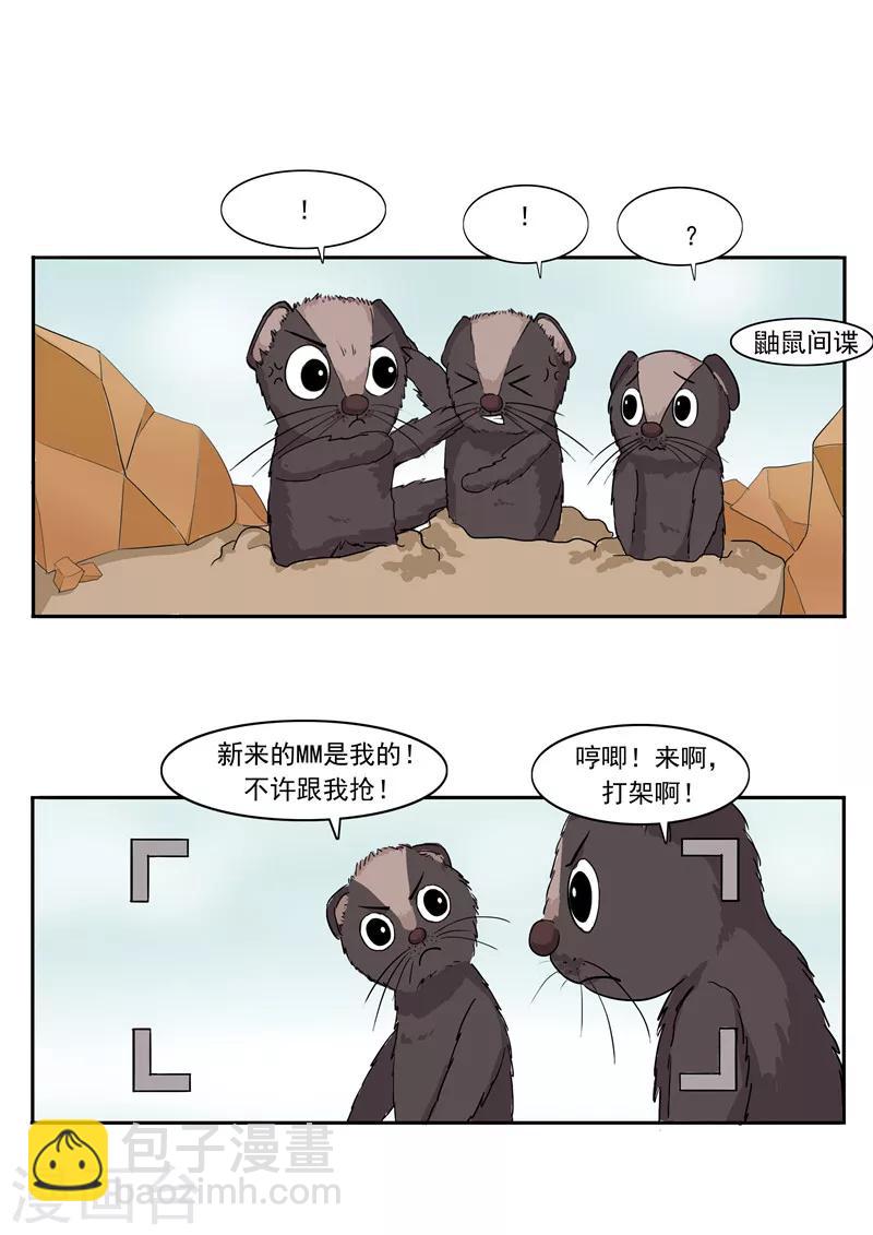 第44话 动物世界-第44话