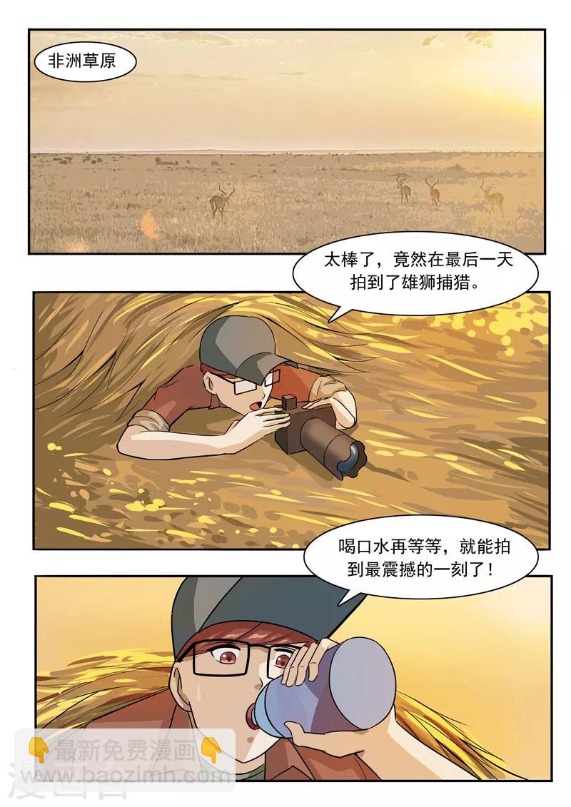 第44话 动物世界-第44话