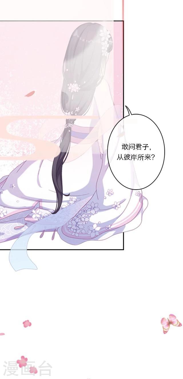 第47话 幻境-第58话