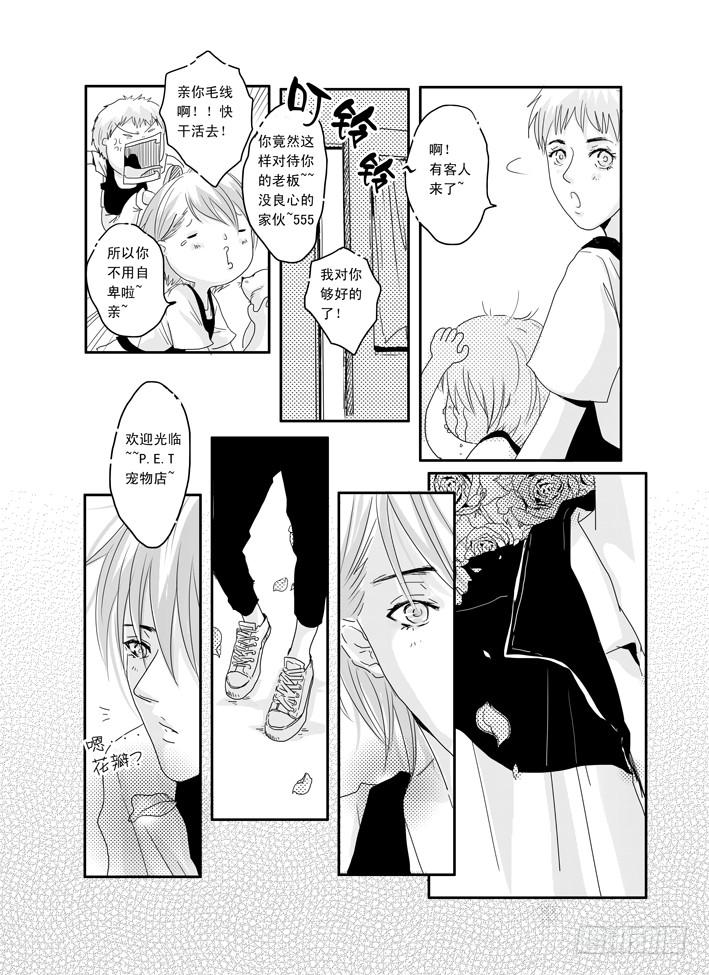 八《爱情陷阱》-第8话