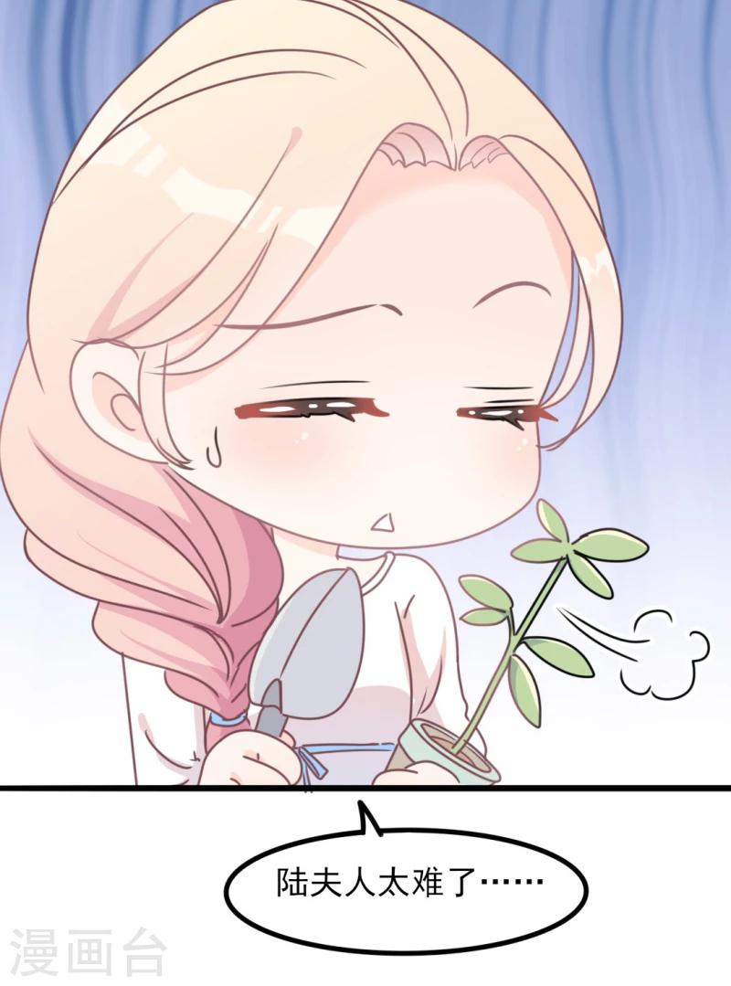 第34话 庭有枇杷树-第34话