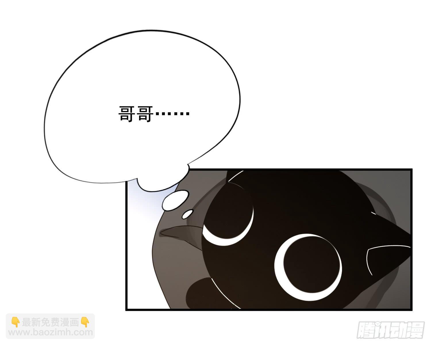 林中小屋(1/3)-第20话