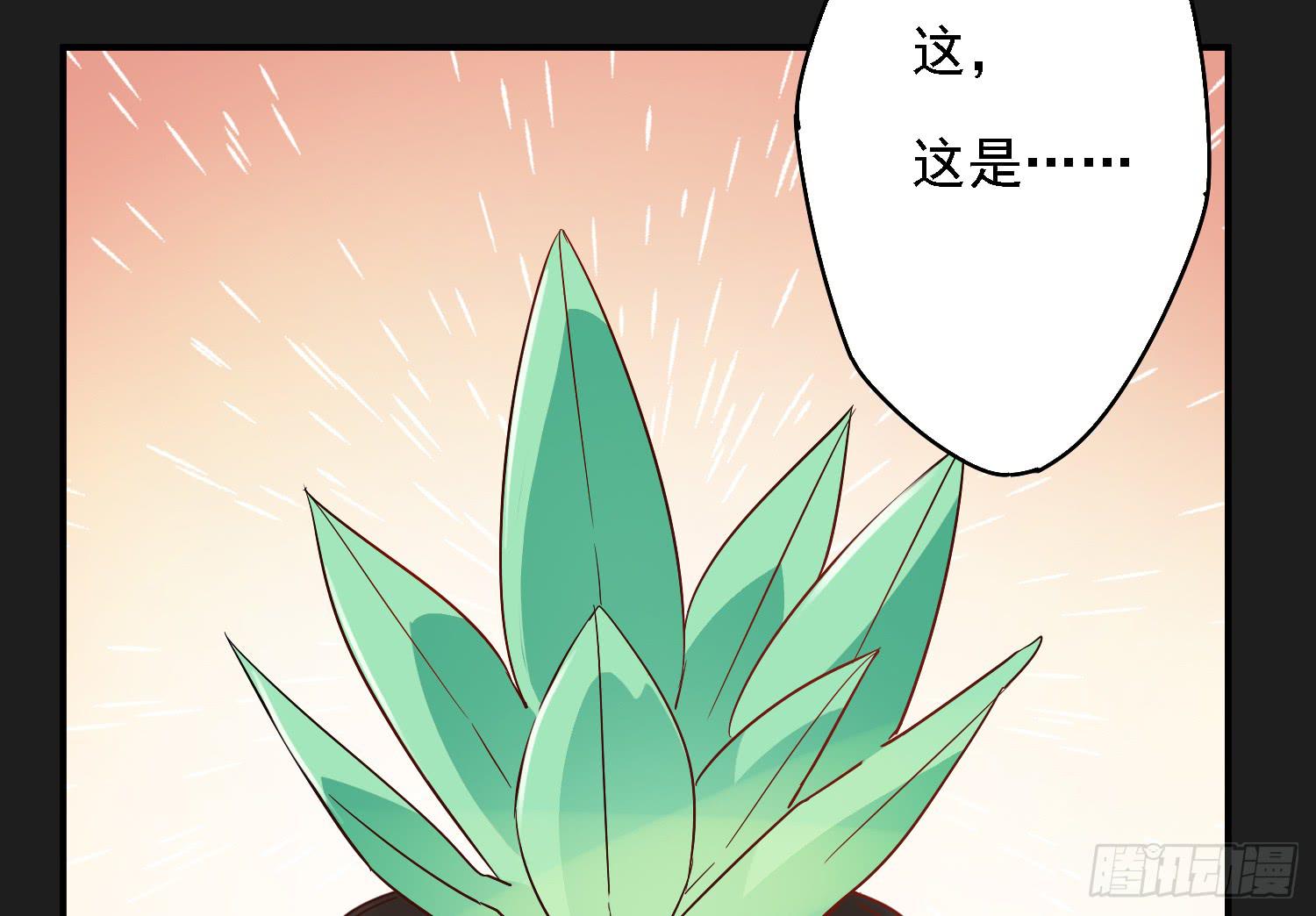 植物就要有植物的样子(1/4)-第4话