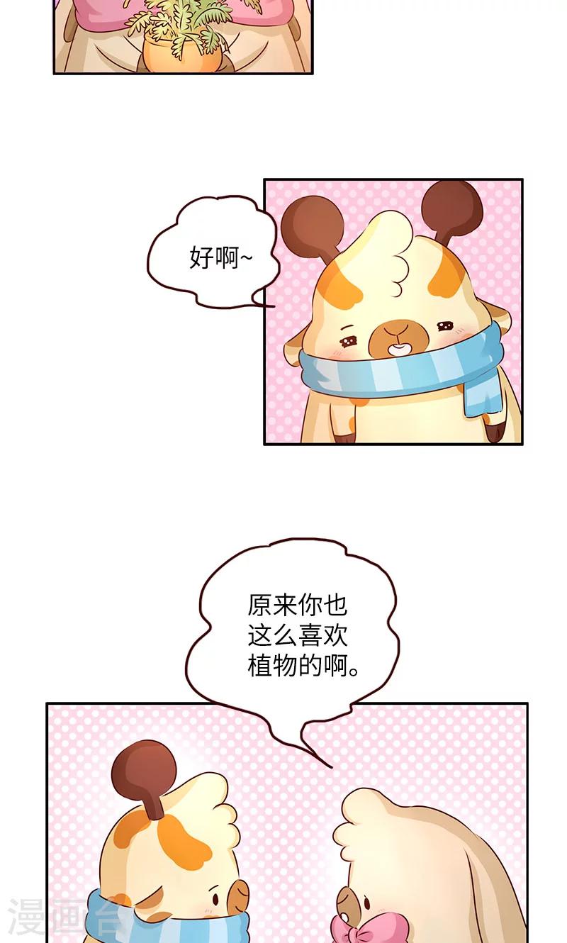 第4话 养植物-第4话