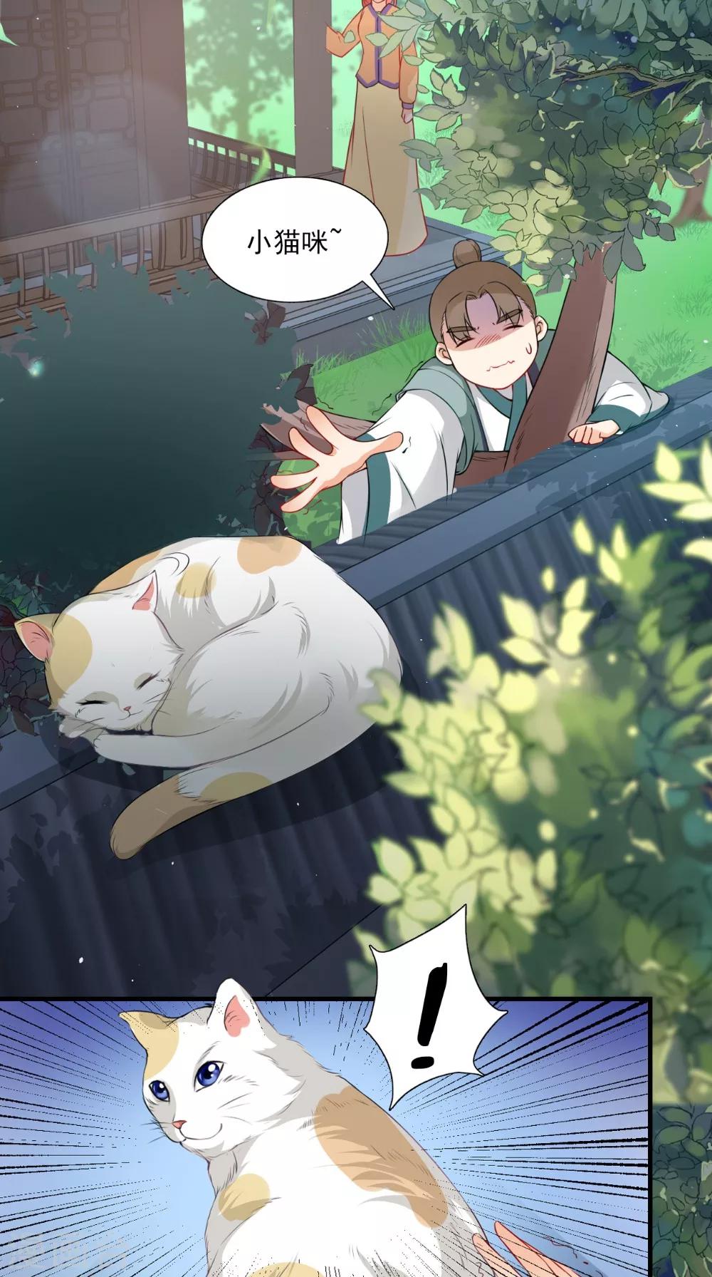 第139话 捉猫咪的人-第146话