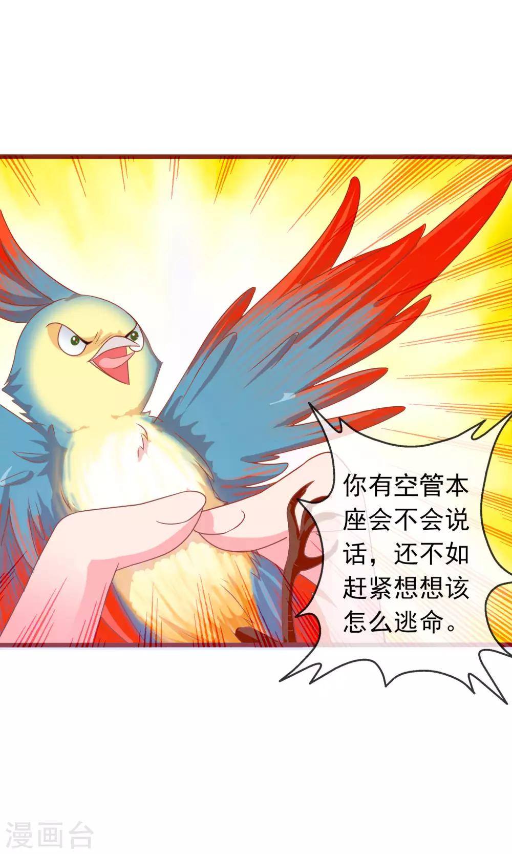 第39话 红烧鹦鹉肉好不好？-第40话