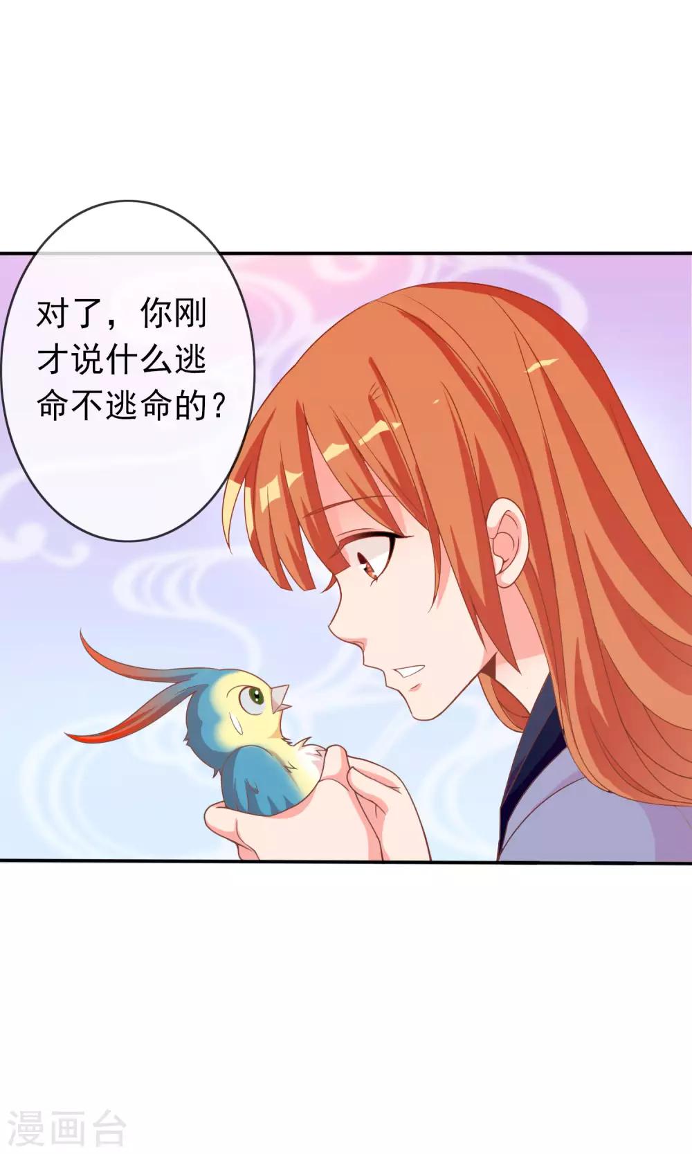 第39话 红烧鹦鹉肉好不好？-第40话