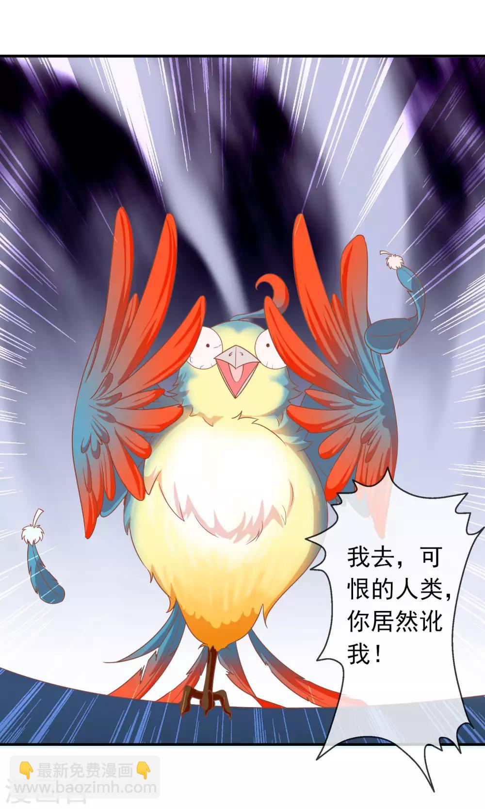 第39话 红烧鹦鹉肉好不好？-第40话