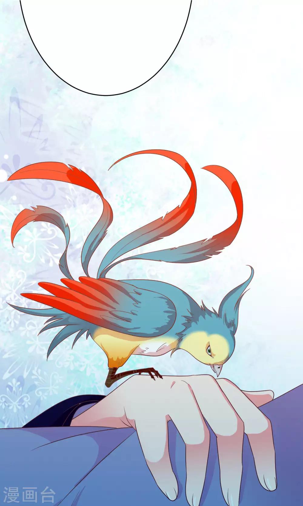 第39话 红烧鹦鹉肉好不好？-第40话