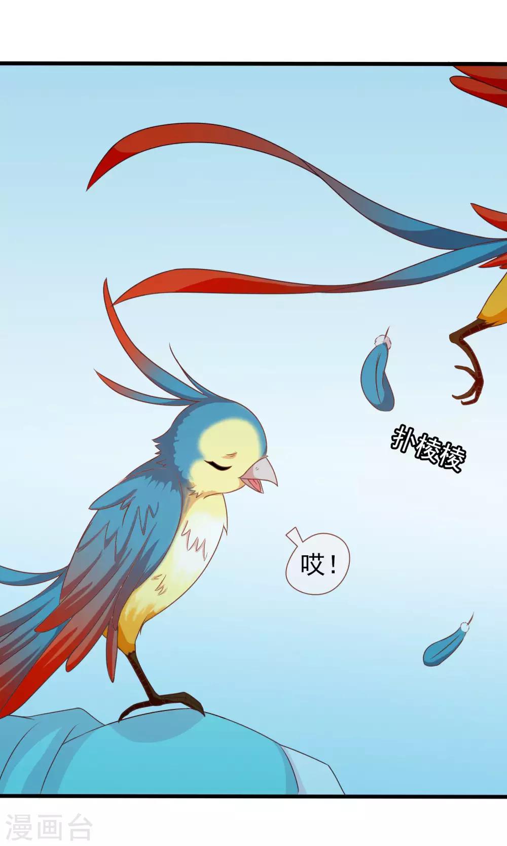 第39话 红烧鹦鹉肉好不好？-第40话