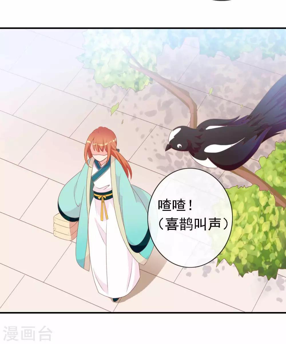 第51话 人见人爱的米十三-第52话