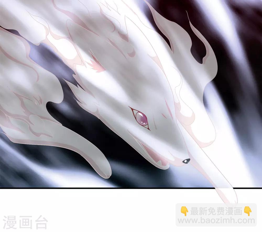 第65话 这么可爱的女子我才舍不得她死呢~-第66话