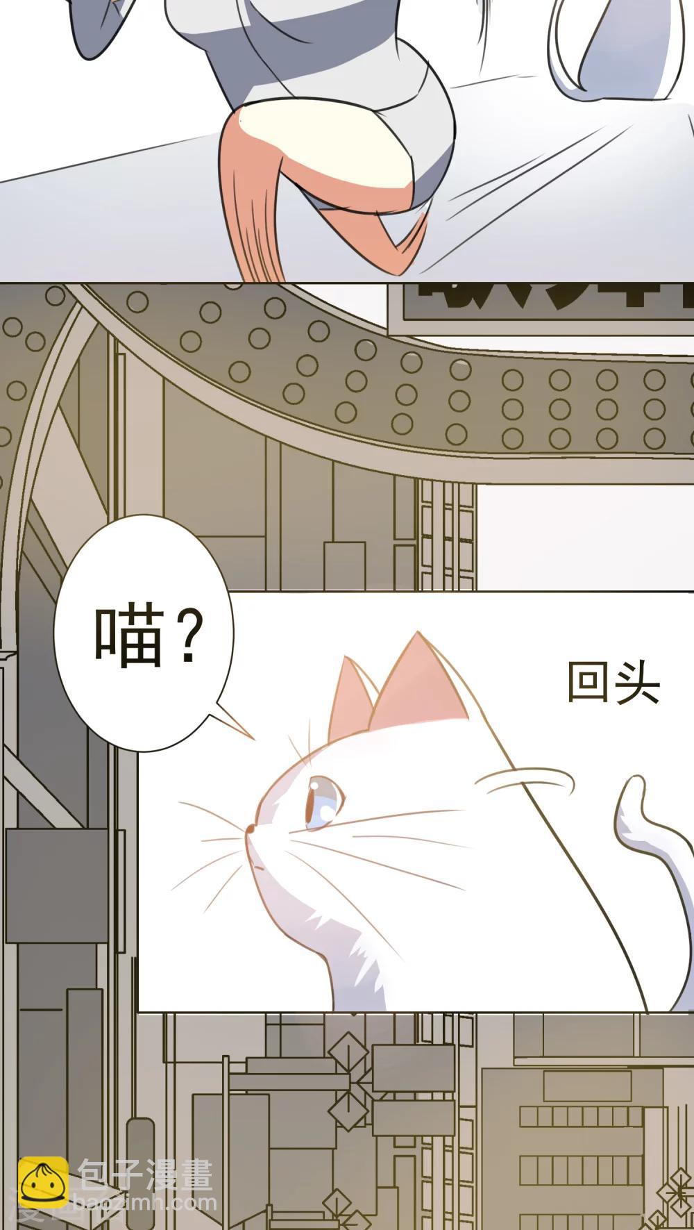 猫的制作人 - 第33话 - 2