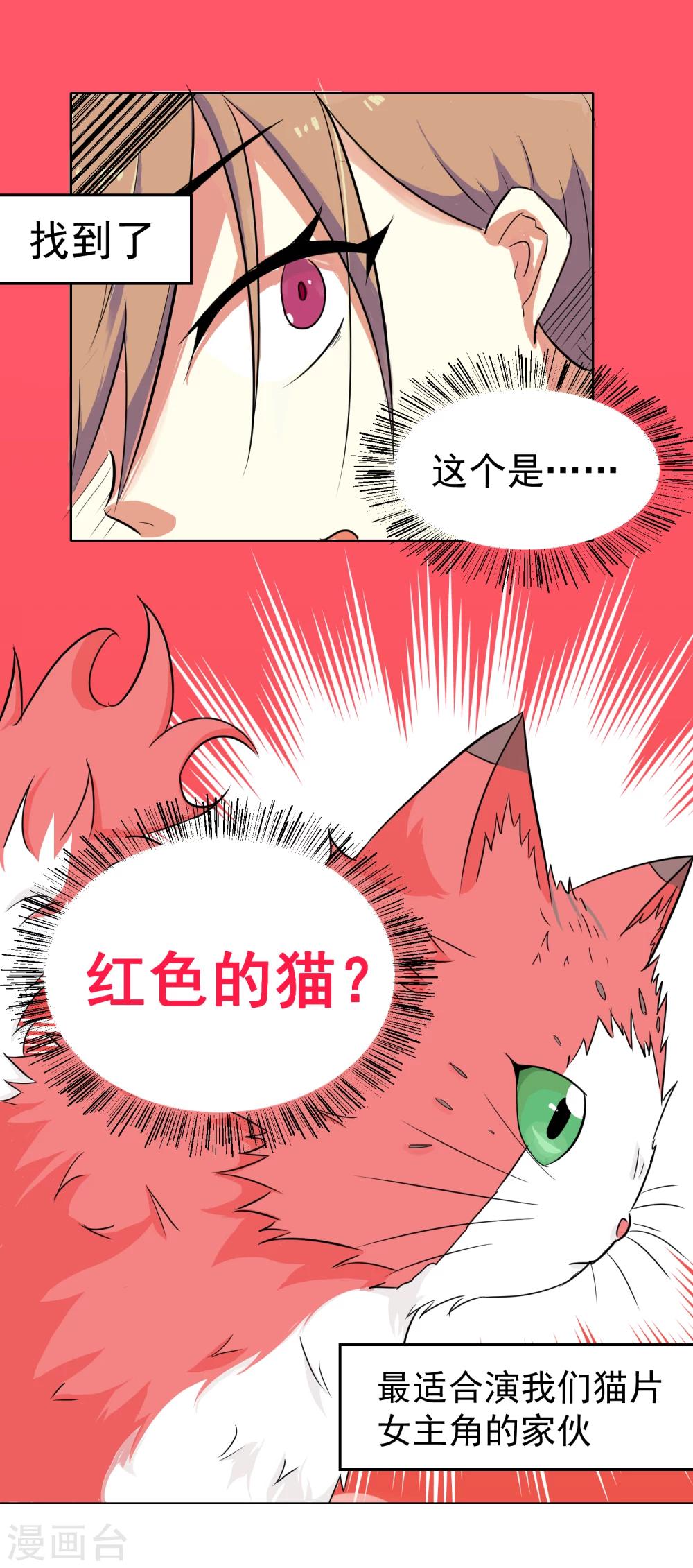 猫的制作人 - 第8话 - 1