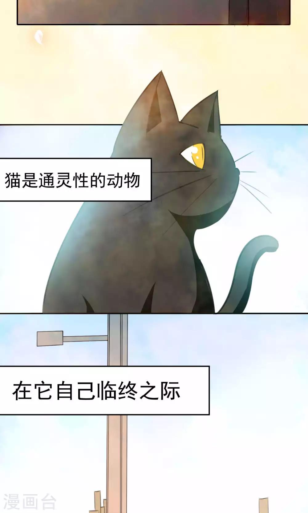 猫的制作人 - 第89话 - 3