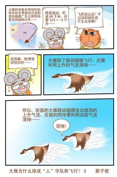 貓和老鼠科普漫畫 - 第28話 - 1