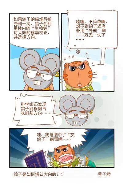 貓和老鼠科普漫畫 - 第30話 - 1