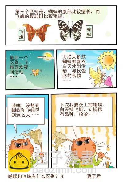 貓和老鼠科普漫畫 - 第34話 - 1