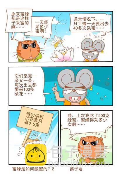 貓和老鼠科普漫畫 - 第36話 - 1