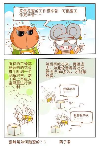 貓和老鼠科普漫畫 - 第36話 - 1