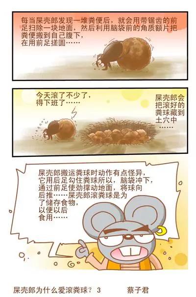貓和老鼠科普漫畫 - 第44話 - 1