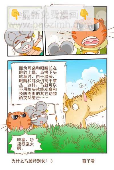 貓和老鼠科普漫畫 - 第46話 - 1